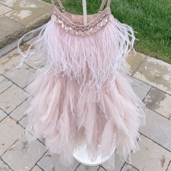 Gorg tutu du monde swan queen dress in blush pink - Picture 4 of 4